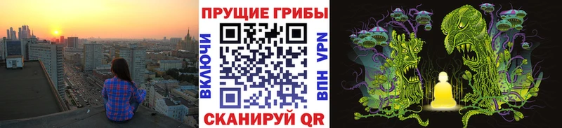 Псилоцибиновые грибы MAGIC MUSHROOMS Гатчина