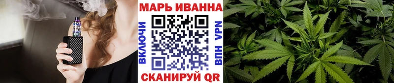 Конопля гибрид  Гатчина 